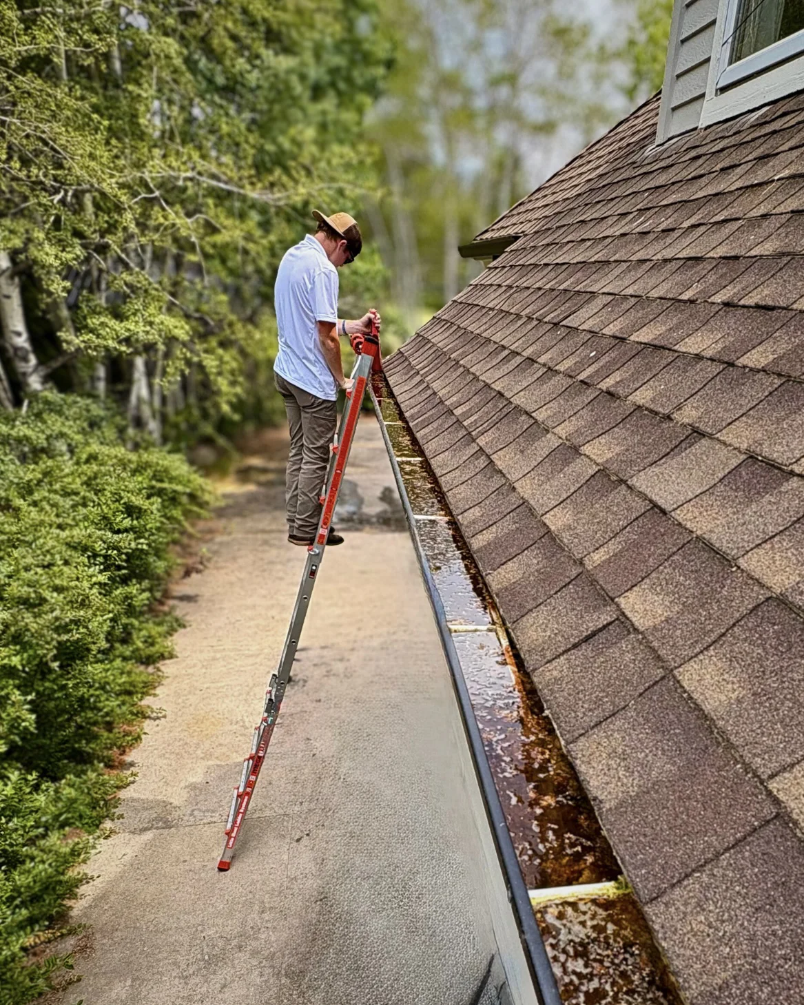 Man on ladder cleaning gutter.