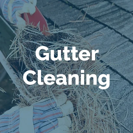 Gutter Cleaning